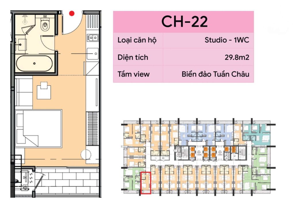 căn studio icon40