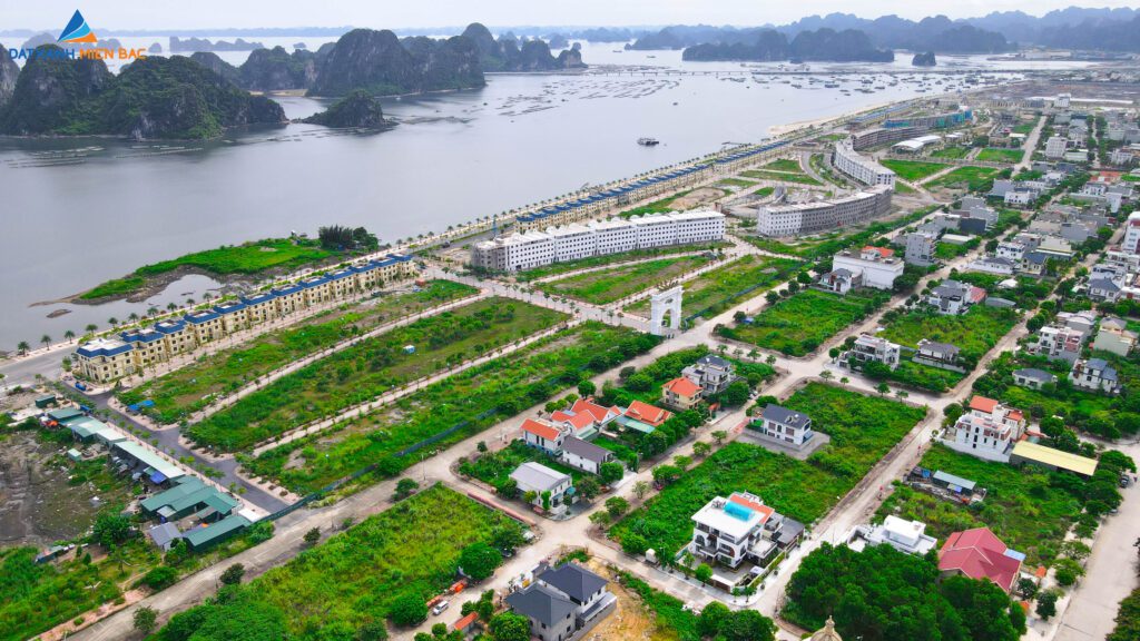 thực tế safabay cẩm phả