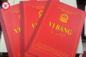 vi bằng
